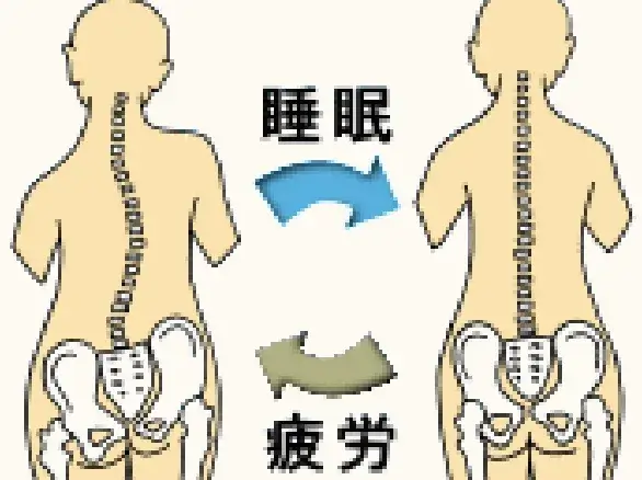 Q. 整えてもすぐ元に戻ってしまいませんか？